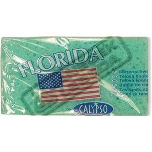 Houba tělová  Florida Calypso 20004