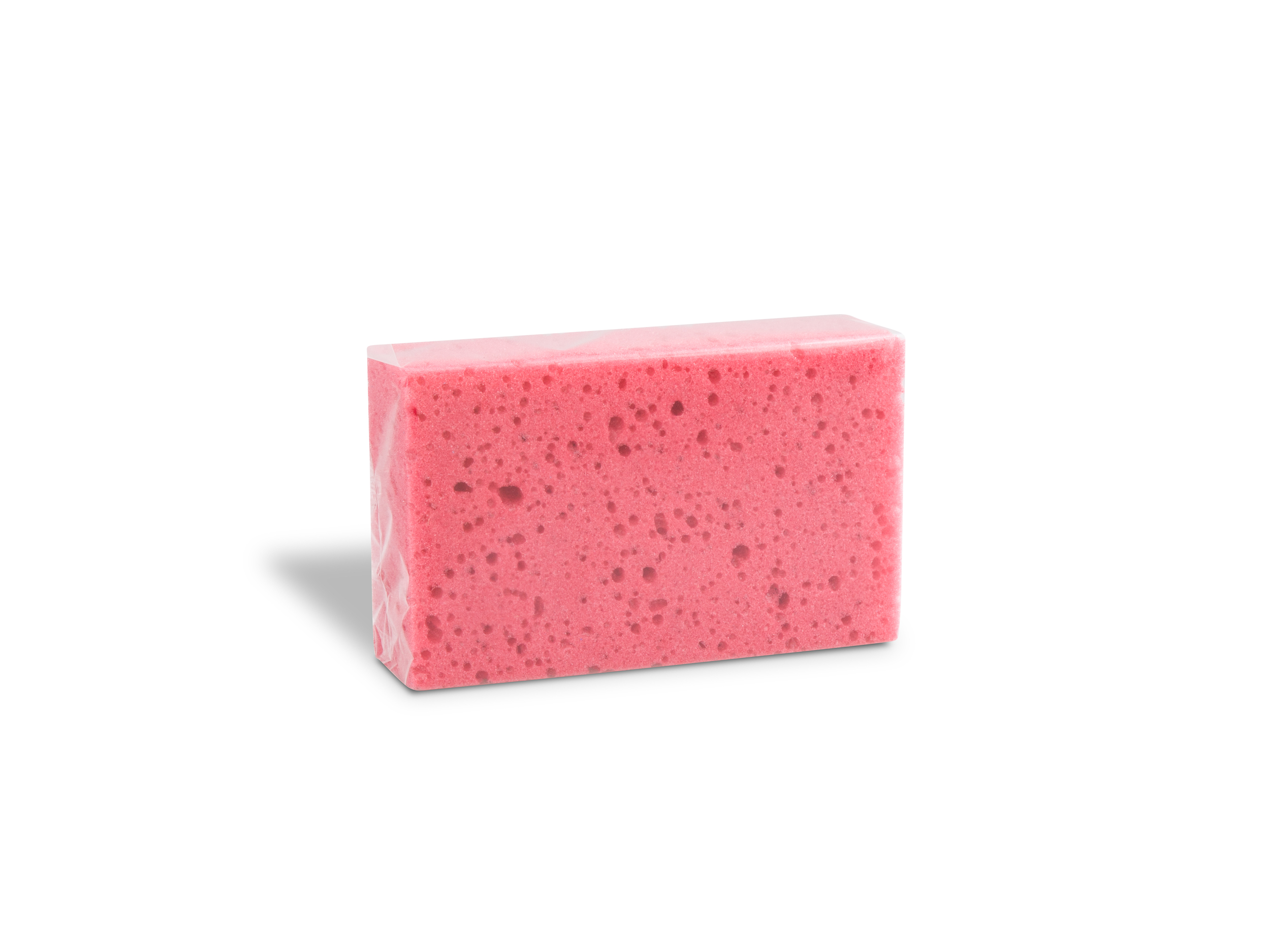 Houba školní (Vektex) 20317