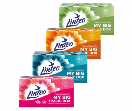 Pap.kap. Linteo 2vrstvé krabička 200ks  30096