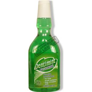 Ústní voda Dentimint Mountwasch 600 ml